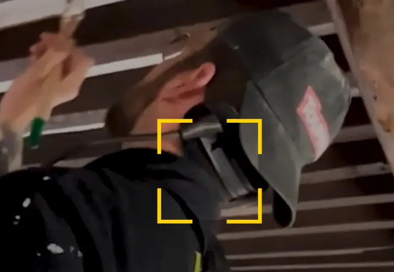 שלדים חיצוניים המותאמים לצבעים